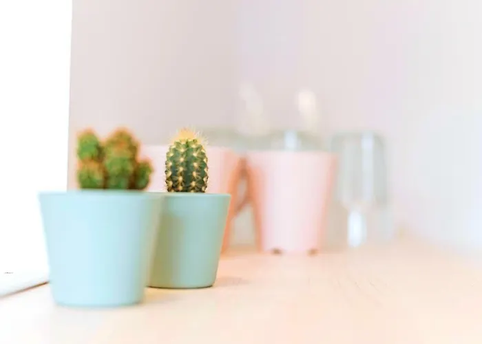 Old Town Riverview شقة بوخارست