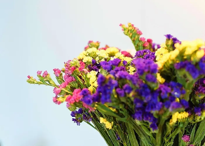 شقة Old Town Riverview بوخارست