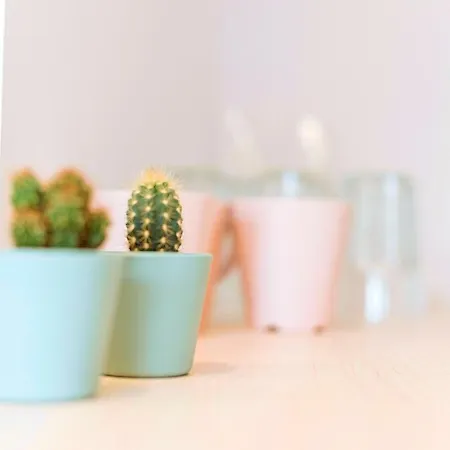 Old Town Riverview Apartment Bukarest