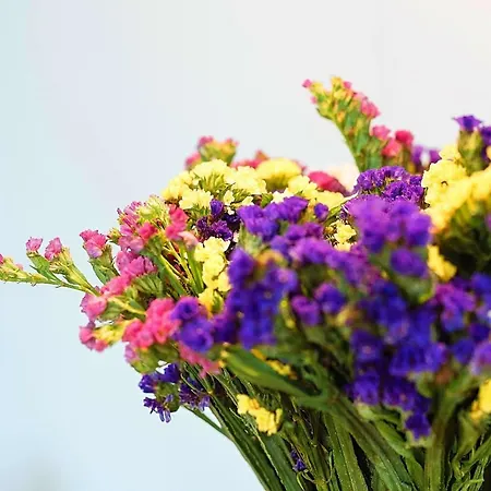 Daire Old Town Riverview Bükreş